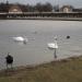 Fontäne  vor Schloss Nymphenburg (de) в городе Мюнхен