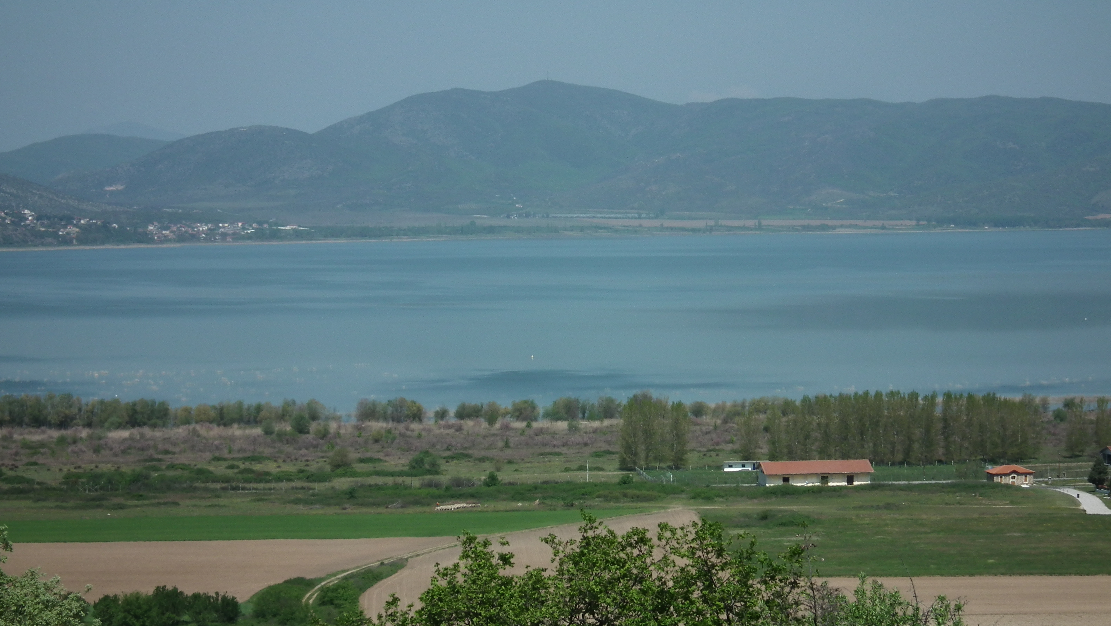 Dojransko jezero (Bosanski)