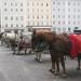 Excursions on horse carriages in Salzburg city