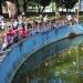 Zoológico Municipal Amaro Sátiro de Araújo na Montes Claros city
