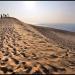 Dune du Pyla (ou Pilat)