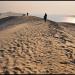 Dune du Pyla (ou Pilat)