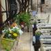 MACHA Cafe&Bar (tr) in Antalya Metropolitan Municipality city