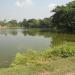 Pond.