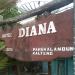Hotel Diana di kota Pangkalan Bun