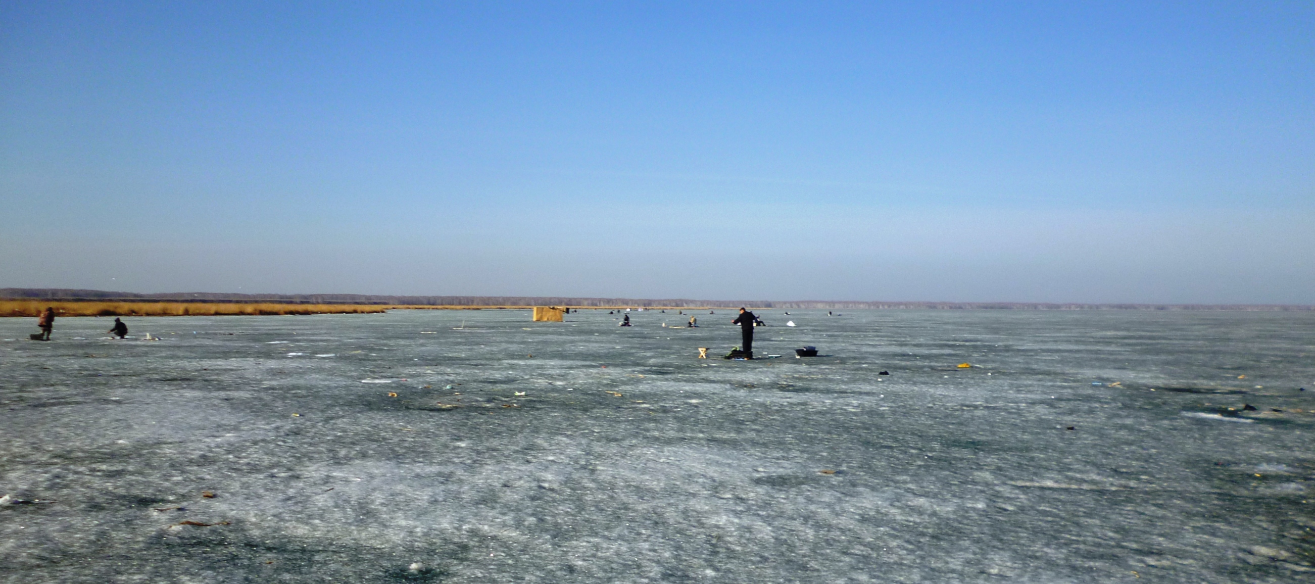 озеро салтаим в омской области