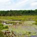 Grandma Lake Wetlands State Natural Area