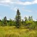 Grandma Lake Wetlands State Natural Area