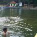 Kolam Ikan Cigugur, Kuningan, Jawa Barat