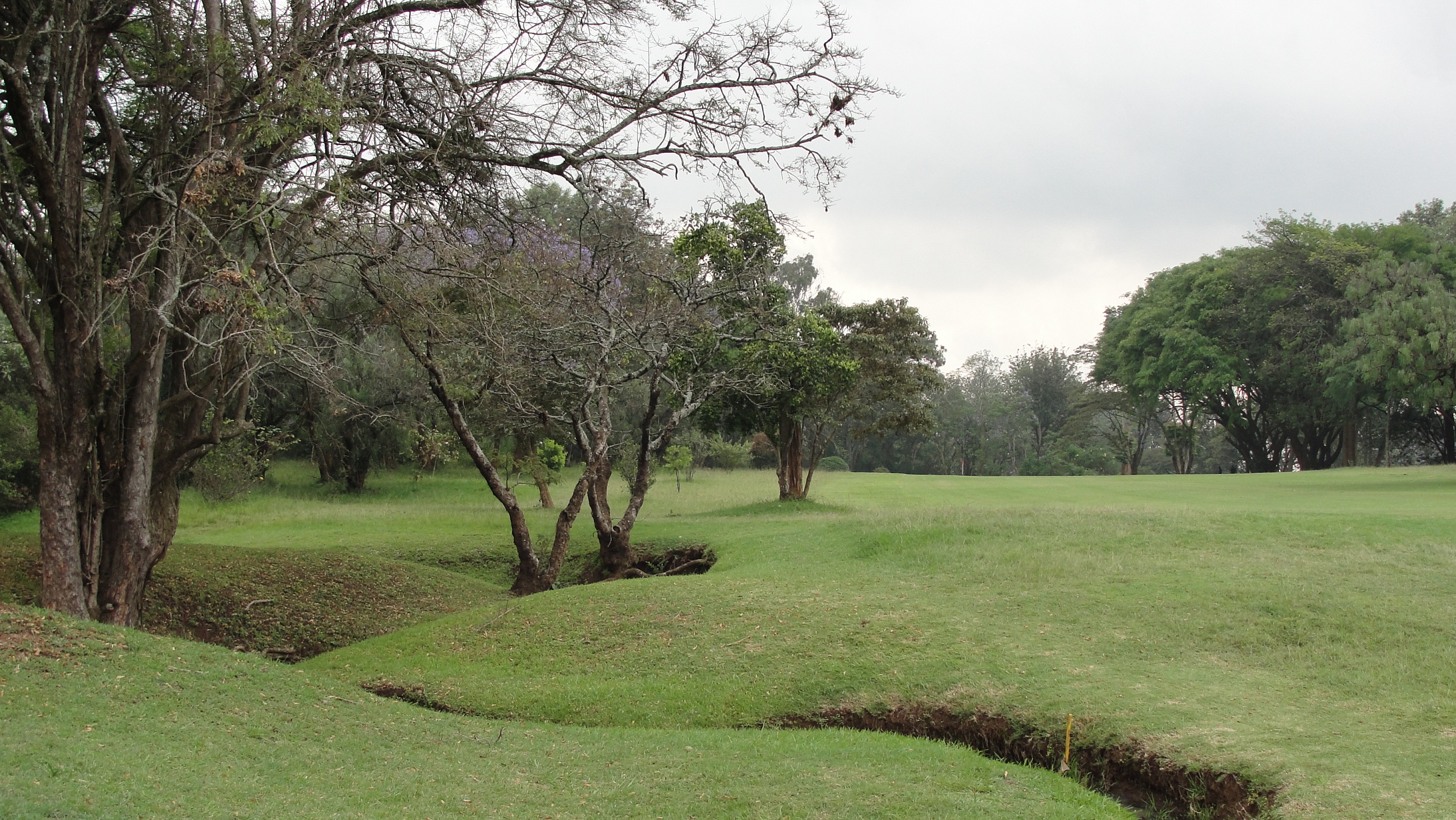 Royal Golf Club Nairobi Nairobi