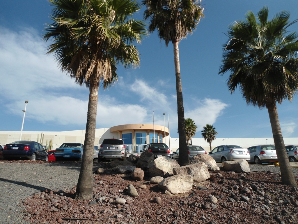 Continental Teves Planta Las Colinas Silao