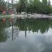 Лебединое озеро в городе Воронеж