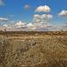 Петровский полигон бытовых отходов в городе Донецк