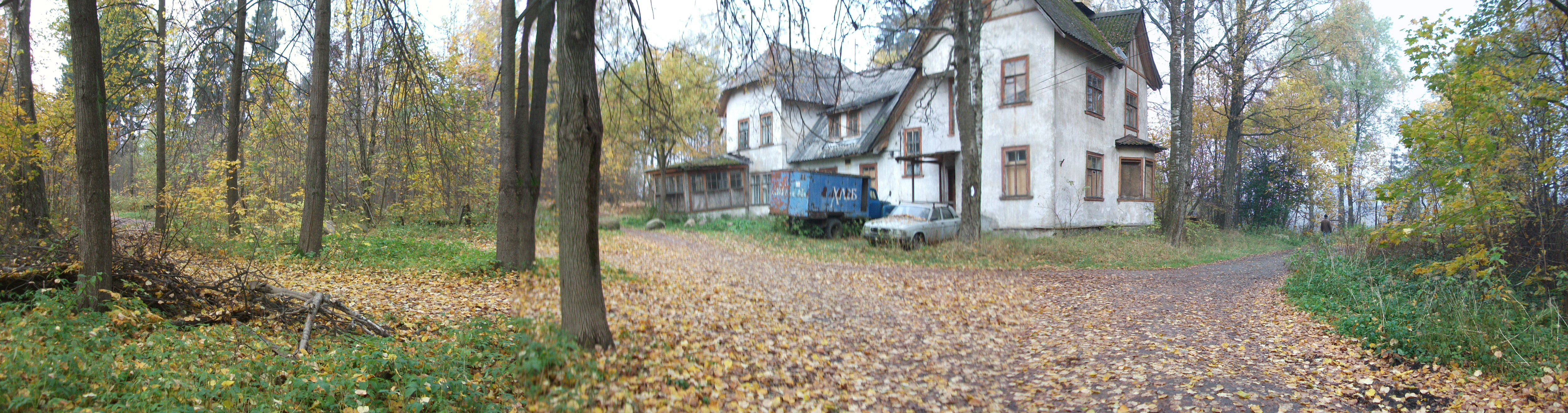 Остатки дома Л. А. Орбели - Павлово