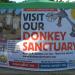 Donkey Sanctuary Bonaire