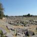 Forum of Philippi