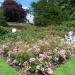 Walled Kitchen Gardens