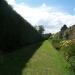 Walled Kitchen Gardens