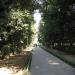 Lodhi Gardens in Delhi city