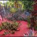 Majorelle Garden