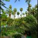 Majorelle Garden