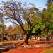 Ribeirão Bonito 