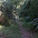 Bosque do Seminário na Tietê city