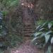Bosque do Seminário na Tietê city