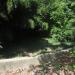 Wattled Crane exhibit in Louisville-Jefferson County, Kentucky city