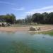 Masai Giraffe + Ruppell's Griffon Vulture exhibit in Louisville-Jefferson County, Kentucky city