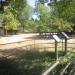 Ostrich + Mhorr Gazelle exhibit in Louisville-Jefferson County, Kentucky city