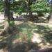 Eastern Bongo + Grey Crowned Crane exhibit in Louisville-Jefferson County, Kentucky city