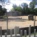 Dromedary Camel exhibit in Louisville-Jefferson County, Kentucky city