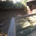 Meerkat exhibit in Louisville-Jefferson County, Kentucky city