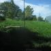 Western Lowland Gorilla exhibit in Louisville-Jefferson County, Kentucky city
