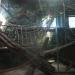 Gorilla Sanctuary in Louisville-Jefferson County, Kentucky city