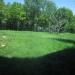 Western Lowland Gorilla exhibit in Louisville-Jefferson County, Kentucky city