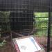 Hyacinth Macaw exhibit in Louisville-Jefferson County, Kentucky city