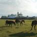 Transfiguration monastery in Posol'skoe