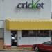 Cricket in Baltimore, Maryland city