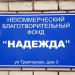 Некоммерческий благотворительный фонд «Надежда» в городе Владимир