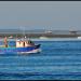 Arcachon Bay