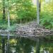 Chenango Valley State Park