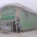 Пригородные железнодорожные кассы (ru) в місті Дєдовськ