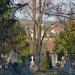 Gersthofer Friedhof (de) в городе Вена