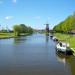 Woudpijpke in Dokkum city
