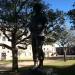 Danger 79er Statute in College Station, Texas city