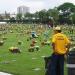 Jardim Cemitério PAX na Sorocaba city
