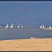 Arcachon Bay