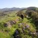 Nuraghe Sa Turricola